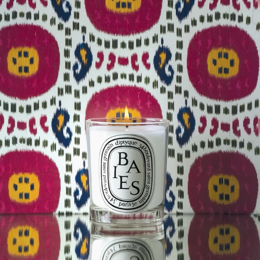 🆕💕DIPTYQUE Scented Candles Baise & Tubereuse • 2.4oz / 70g • SEALED BOX SET - Picture 6 of 9